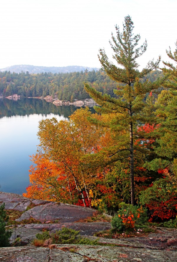 Fall Colors George Lake by Deb Oppermann